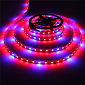 Дополнительное изображение: Светодиодная фитолента SMD5050 60 led 4R+1B IP20 12В