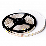 Изображение: Светодиодная лента SMD 5050 30 led IP65 12В холодный белый